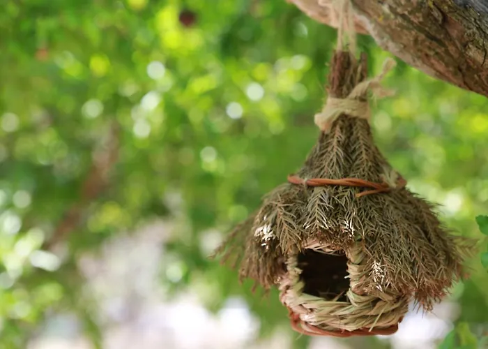 Σπίτι διακοπών Stathi's