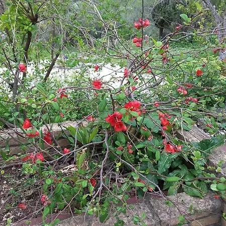 Stathi's Casa de Férias