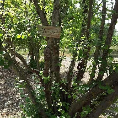 Stathi's Дом отдыха Divarata