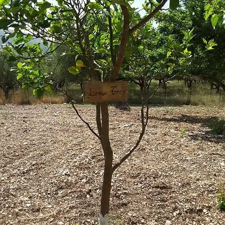 Stathi's Дом отдыха Divarata