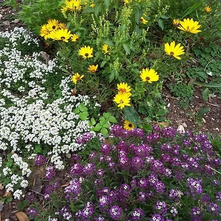 Casa de Férias Stathi's