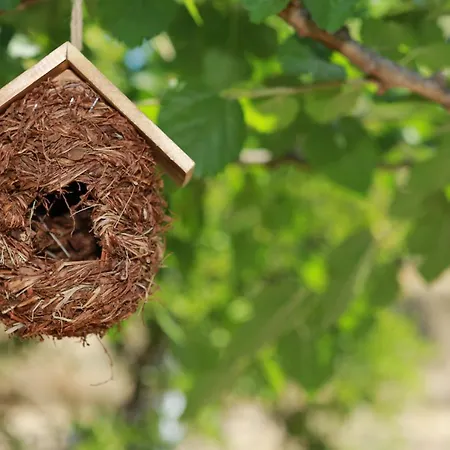 Stathi's Casa de Férias Divarata