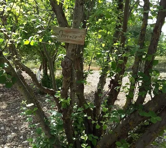 Stathi's 別荘 Divarata