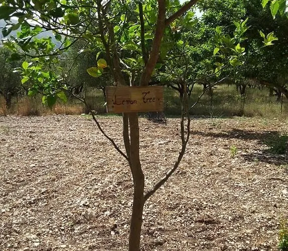 Stathi's 別荘 Divarata