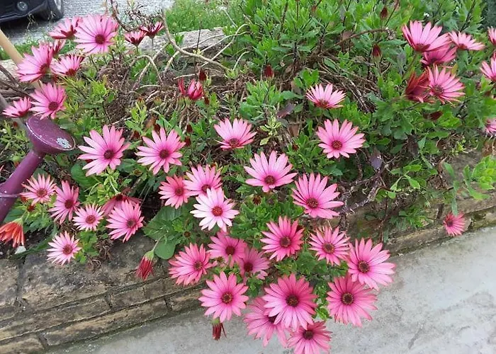 別荘 Stathi's Divarata