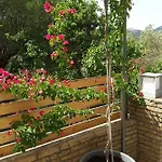 Stathi's Nyaraló *
