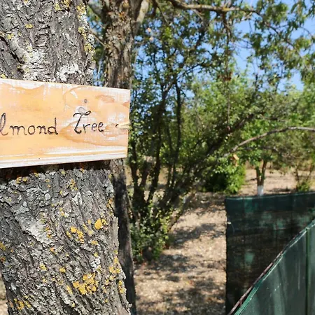 Stathi's Nyaraló